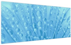 Tablou - Macro împușcat de o floare (120x50 cm)