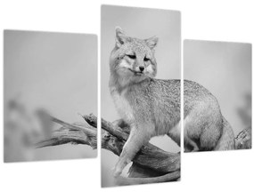 Tablou - Vulpe gri (90x60 cm)
