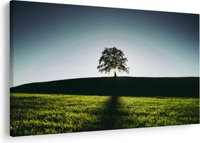 Tablou cu natura - copac (90x60 cm)