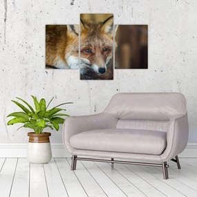 Tablou cu vulpe (90x60 cm)