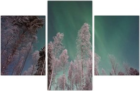 Tablou cu aurora borealis deasupra pomilor înghețați (90x60 cm)