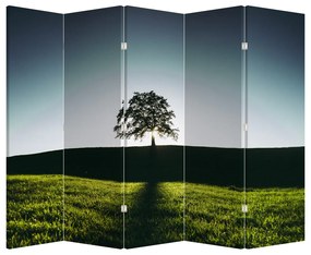 Paravan - Copac (210x170 cm)