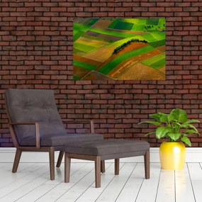 Tablou - Lan, luncile (90x60 cm)