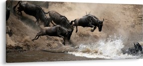 Tablou - Turmă de gnu (120x50 cm)