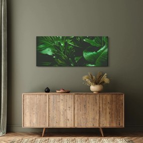 Tablou - Frunze de palmier (120x50 cm)