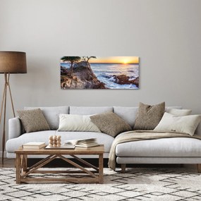 Tablou - Malul pacfic (120x50 cm)