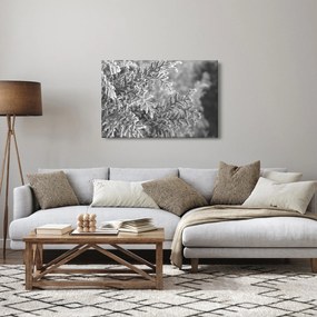 Tablou - Pădure de molid (90x60 cm)