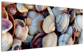 tablou cu scoici (120x50 cm)