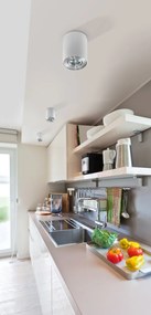 Spot aplicat tavan/plafon stil modern Bross 2 Aluminiu