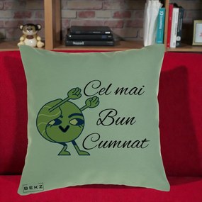 Cadou pentru Cumnat - Perna Personalizata Cel mai Bun Cumnat cu Personaj Funny Verde, 40x40 cm, Verde, Husa Detasabila, Perna Inclusa, BEKZ®