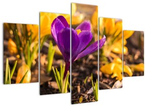 Tablou cu floare violetă (150x105 cm)