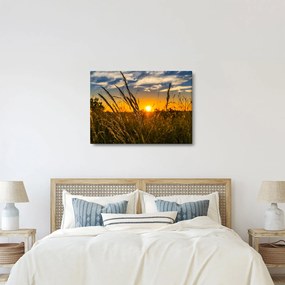 Tablou cu câmp în apus de soare (70x50 cm)