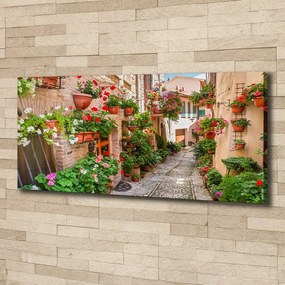 Print pe canvas Străzile italiene