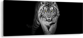 Tablou - Tigru cu ochi galbeni (120x50 cm)