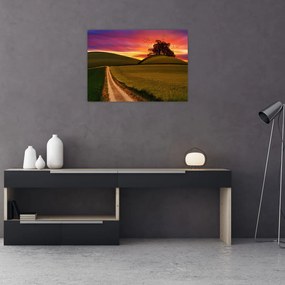 Tablou pe sticlă câmpului cu apus de soare (70x50 cm)