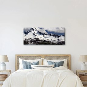 Tablou - Parcul Național Kenai Fjords (120x50 cm)