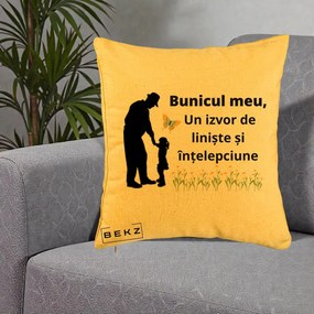 Cadou pentru Bunic - Perna Personalizata Bunicul Meu Izvor de Liniste cu Fluture si Fetita, 40x40 cm, Galben, Husa Detasabila, Perna Inclusa, BEKZ®
