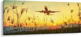 Tablou cu avion zburând (120x50 cm)