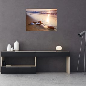 Tablou - Scoici (70x50 cm)