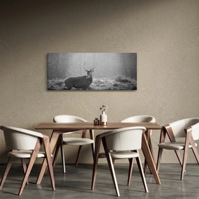 Tablou - Căprioare in pădure,alb-negru (120x50 cm)