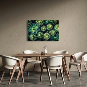 Tablou - Cactuși (90x60 cm)