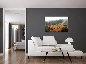 Tablou - Pădure toamna (90x60 cm)