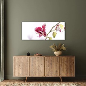 Tablou cu floarea de orhidee (120x50 cm)