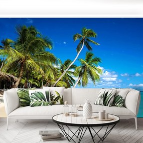 Fototapet Marea Caraibelor