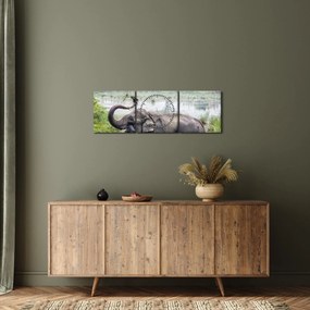 Tablou - Elefant de scăldat (cu ceas) (90x30 cm)