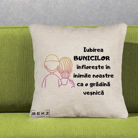 Cadou pentru Bunici - Perna Personalizata Iubirea Bunicilor Infloreste Cuplu Line Art Gradient, 40x40 cm, Bej Canapea, Husa Detasabila, Perna Inclusa, BEKZ®