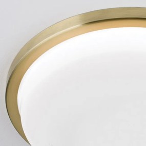 Plafoniera LED moderna LEROX 30cm alama antique