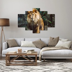 Tablou cu leu în natură (150x105 cm)