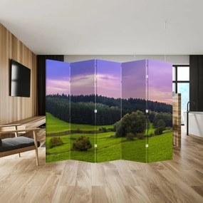 Paravan - Lunca (210x170 cm)