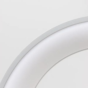 Lustră LED dimabilă pe cablu Brilagi FALCON LED/80W/230V 3000-6500K + telecomandă