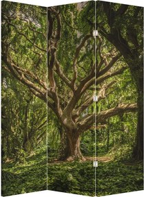 Paravan - Copaci (126x170 cm)