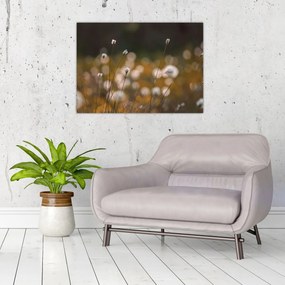 Tablou pe sticlă - Pajiște cu iarbă de cozonac N⁰2 (70x50 cm)