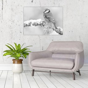 Tablou pe sticlă - O pasăre pe o creangă (70x50 cm)