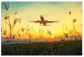 Tablou cu avion zburând (90x60 cm)