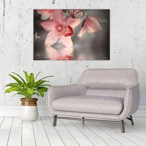 Tablou - Flori și fluture (90x60 cm)