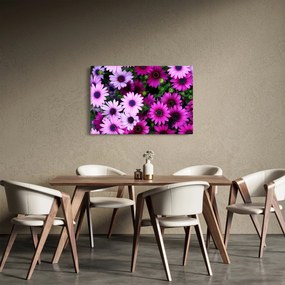 Tablou - Flori (90x60 cm)
