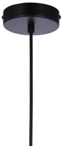 Lustră pe cablu JONERA 1xE27/40W/230V negru