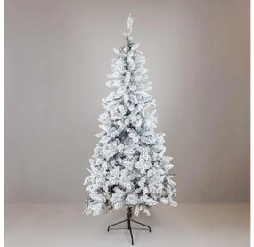 Brad de Crăciun SCOTLAND 210 cm, din brad