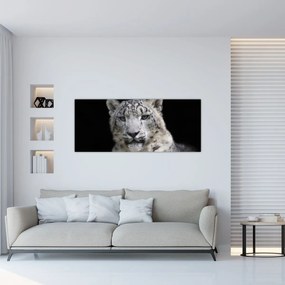 Tablou - Snow Leopard (120x50 cm)