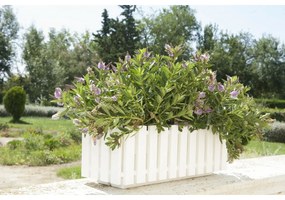 Gardenico Jardinieră Fency albă, 50 cm