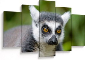 Tablou cu lemur (150x105 cm)