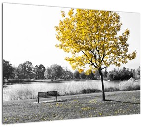 Tablou pe sticlă - relaxare în parc (70x50 cm)