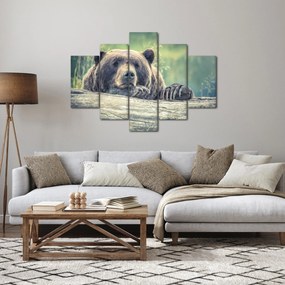 Tablou cu urs (150x105 cm)