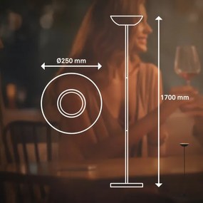 Briloner 1500015 - Lampadar LED ESTATE, reglabil, 8W/5V, 4000 mAh, negru