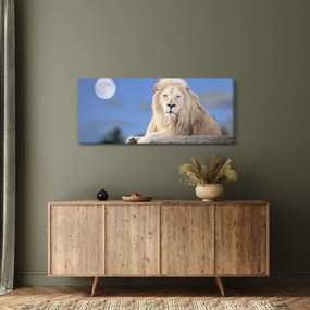 Tablou - Leu alb (120x50 cm)