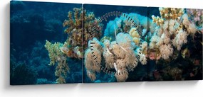 Tablou - în ocean (cu ceas) (90x30 cm)